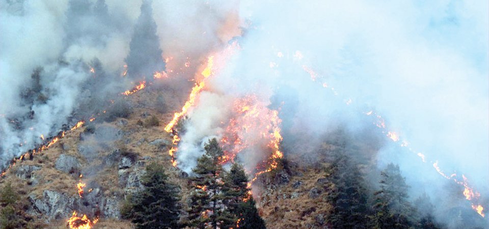 increasing-incidents-of-forest-fires-add-to-rising-pollution