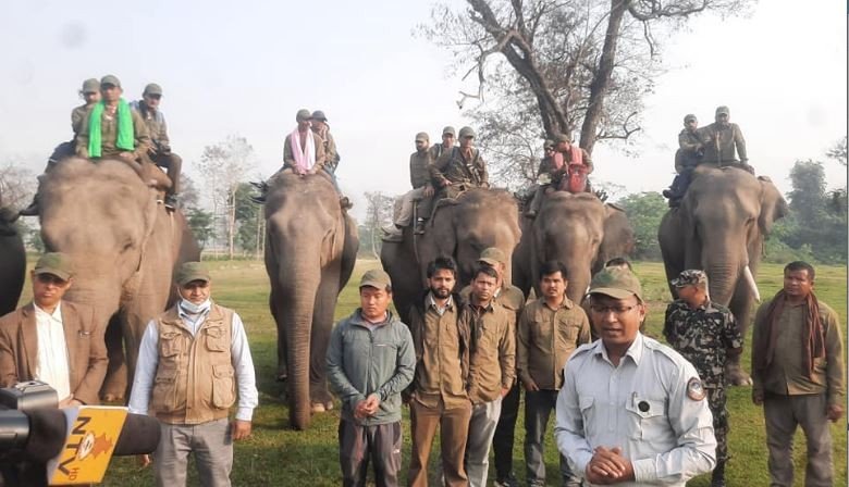 rhino-census-begins-in-bardiya-national-park