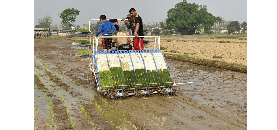 chitwan-farmers-test-four-wheeler-paddy-transplanter-successfully