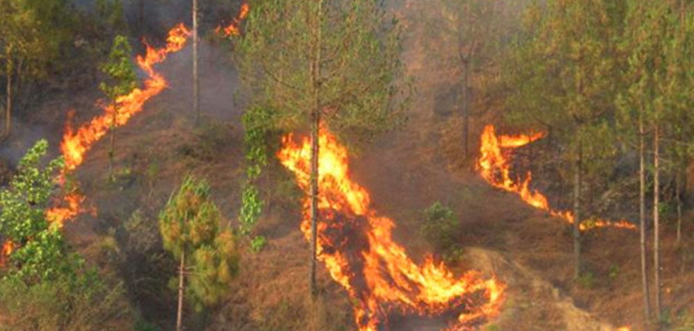 shuklagandaki-reports-several-incidents-of-forest-fire