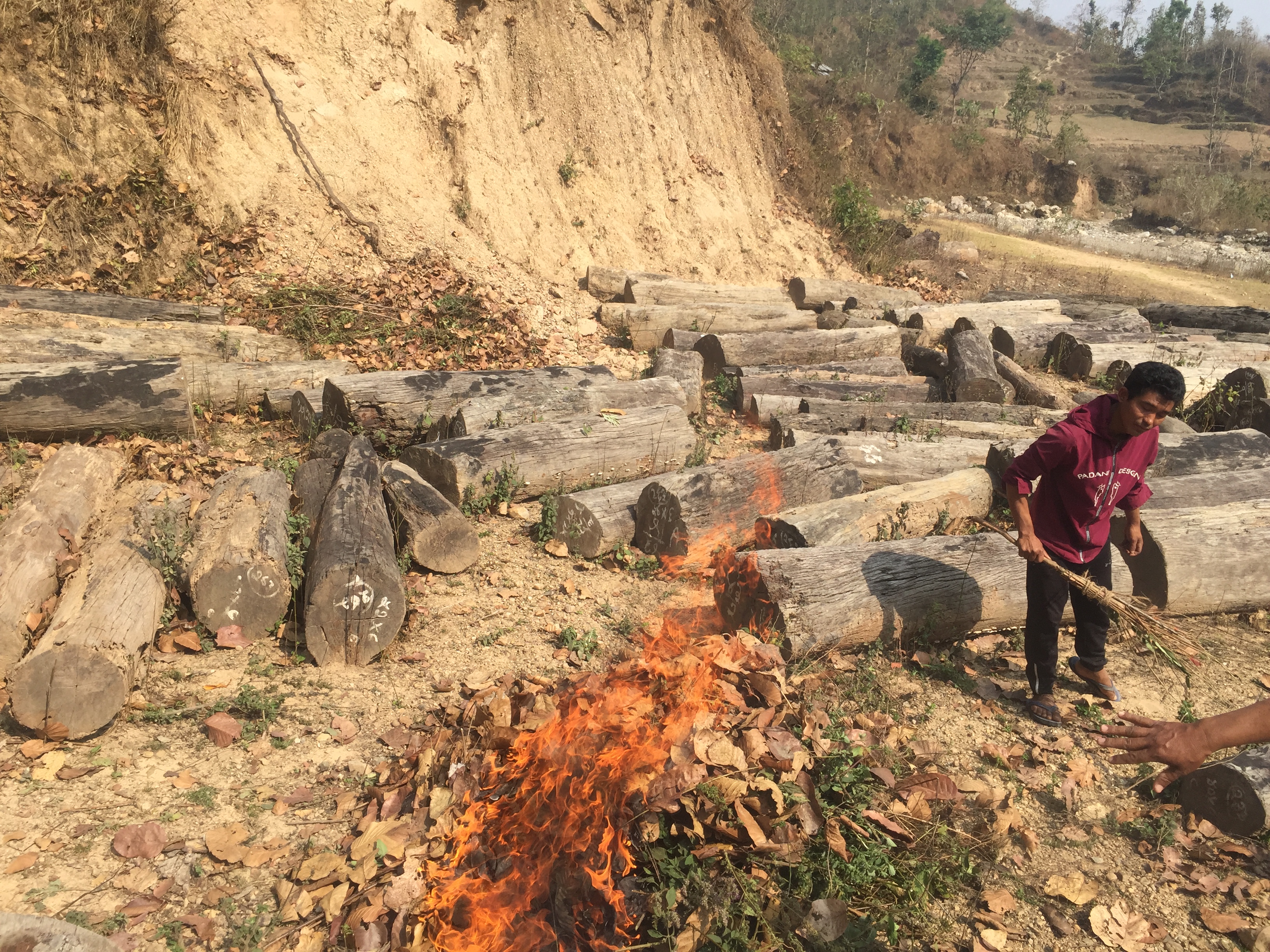 makwanpur-forest-offices-working-to-save-stocked-timber