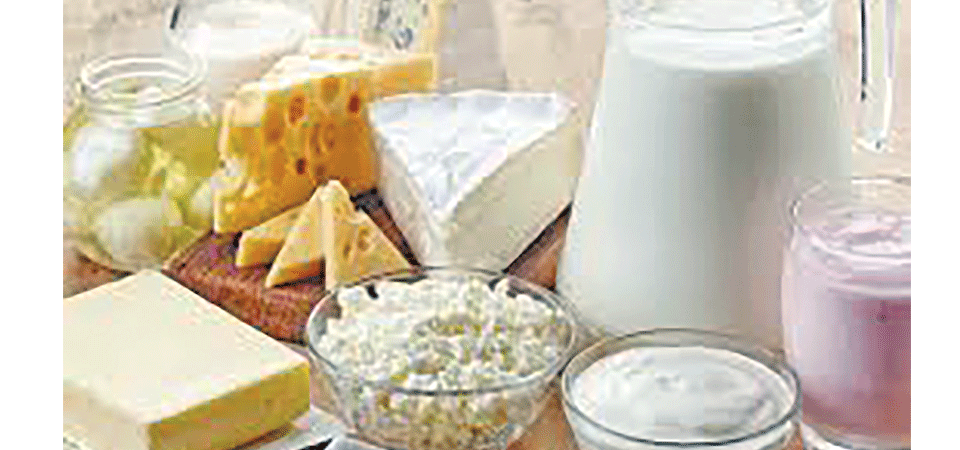 dairy-products-enhancing-nutrition-immunity