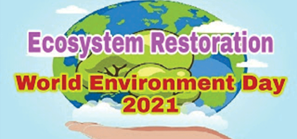 ecosystem-degradation-a-burning-environmental-issue