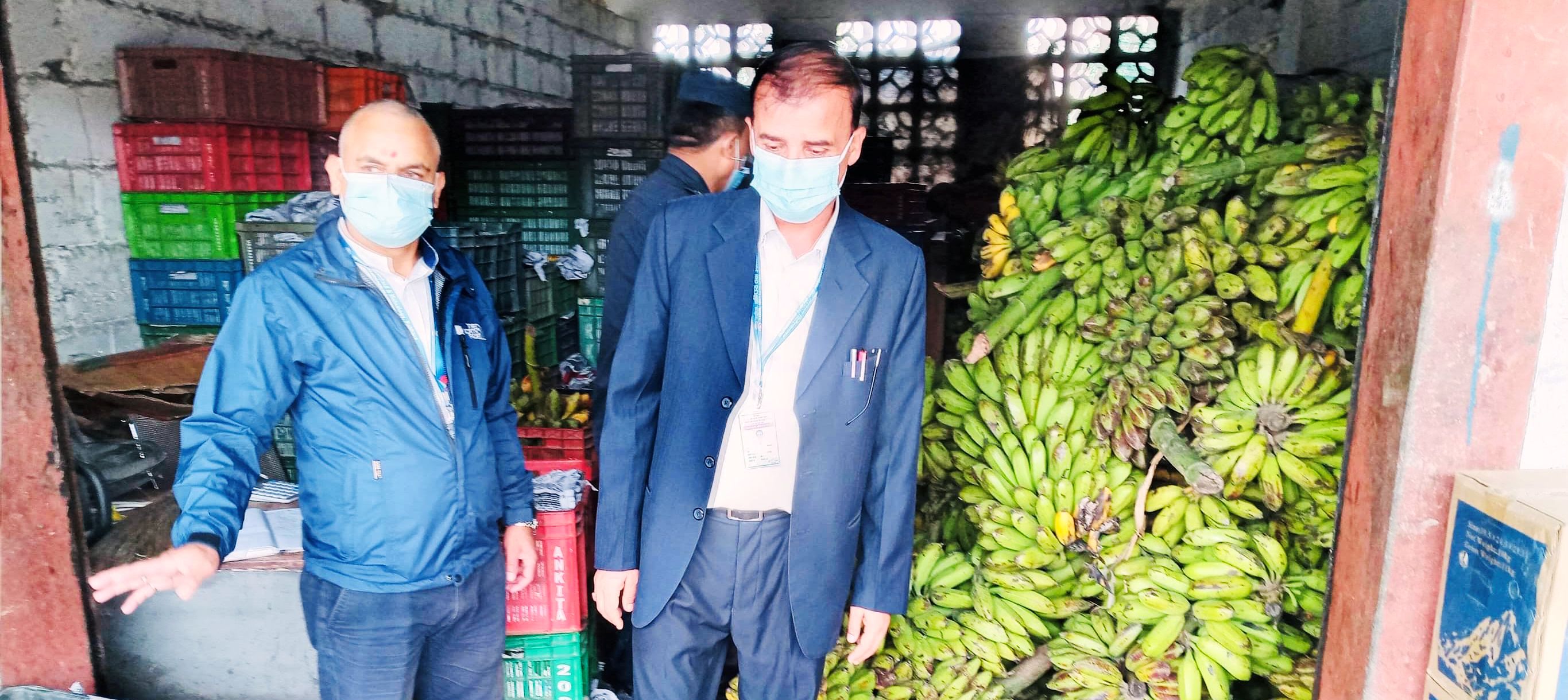 pokhara-shopkeepers-found-using-banned-chemicals-to-ripen-banana
