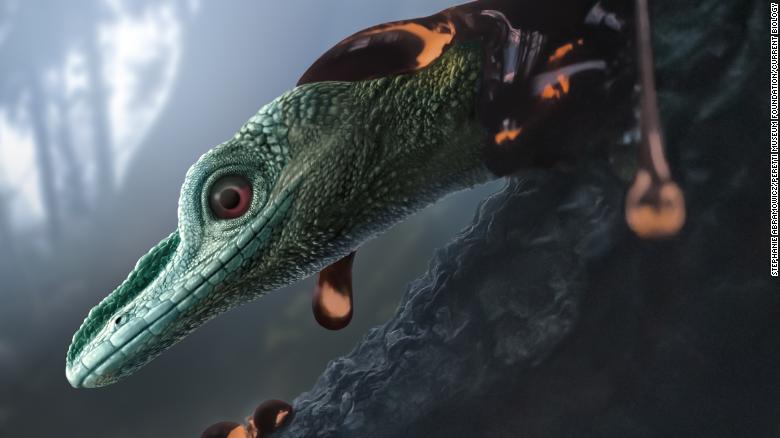 worlds-smallest-dinosaur-is-actually-a-weird-prehistoric-lizard