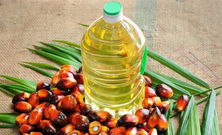 india-lifts-ban-on-palm-oil-import