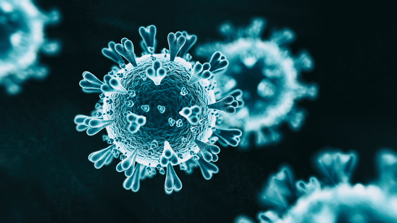 delta-variant-of-coronavirus-detected-in-chitwan