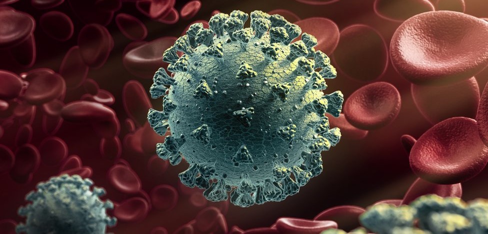 nine-cases-of-delta-plus-variant-of-coronavirus-reported-nationwide