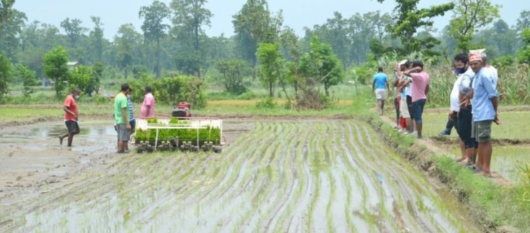 dubbed-an-agricultural-country-nepal-lacks-agriculture-act
