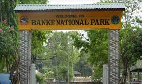 untimely-death-of-wildlife-in-banke-national-park-on-rise