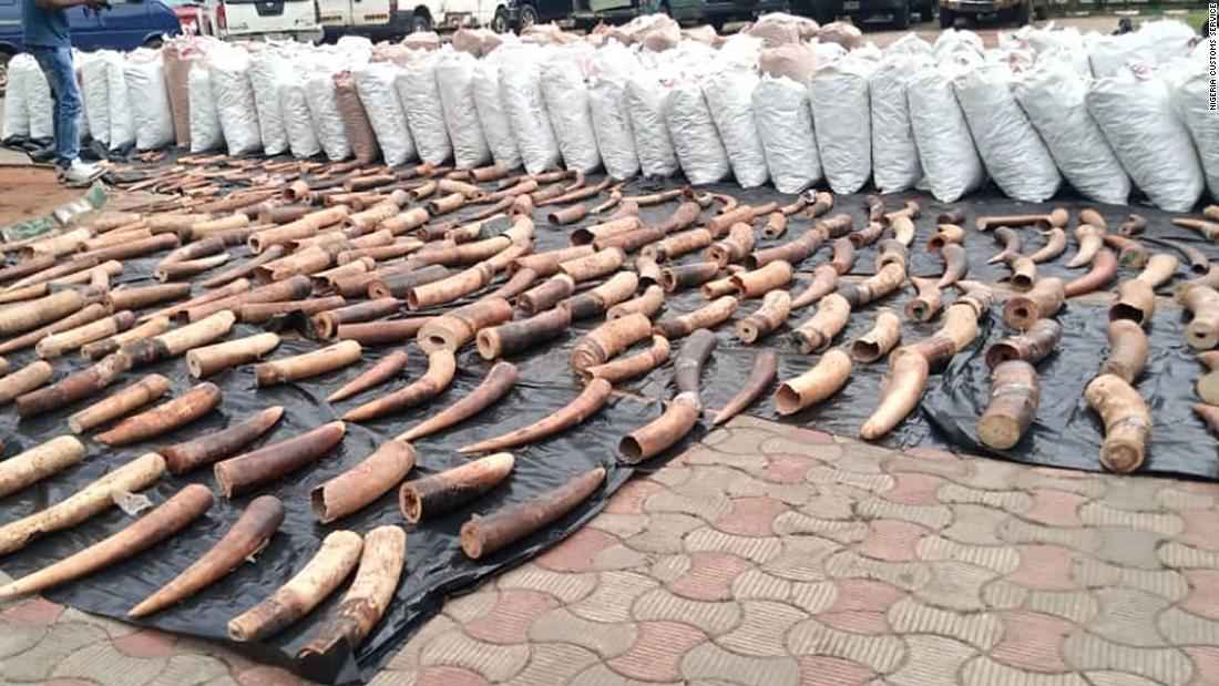nigeria-seizes-record-54-million-in-pangolin-parts-and-elephant-tusks