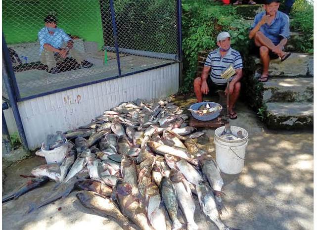 local-fishermen-worry-about-false-claim-in-fish-sale