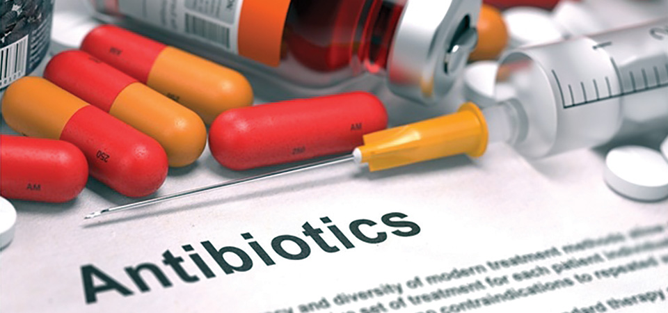 antibioticdrug-resistance-a-common-problem-nowadays