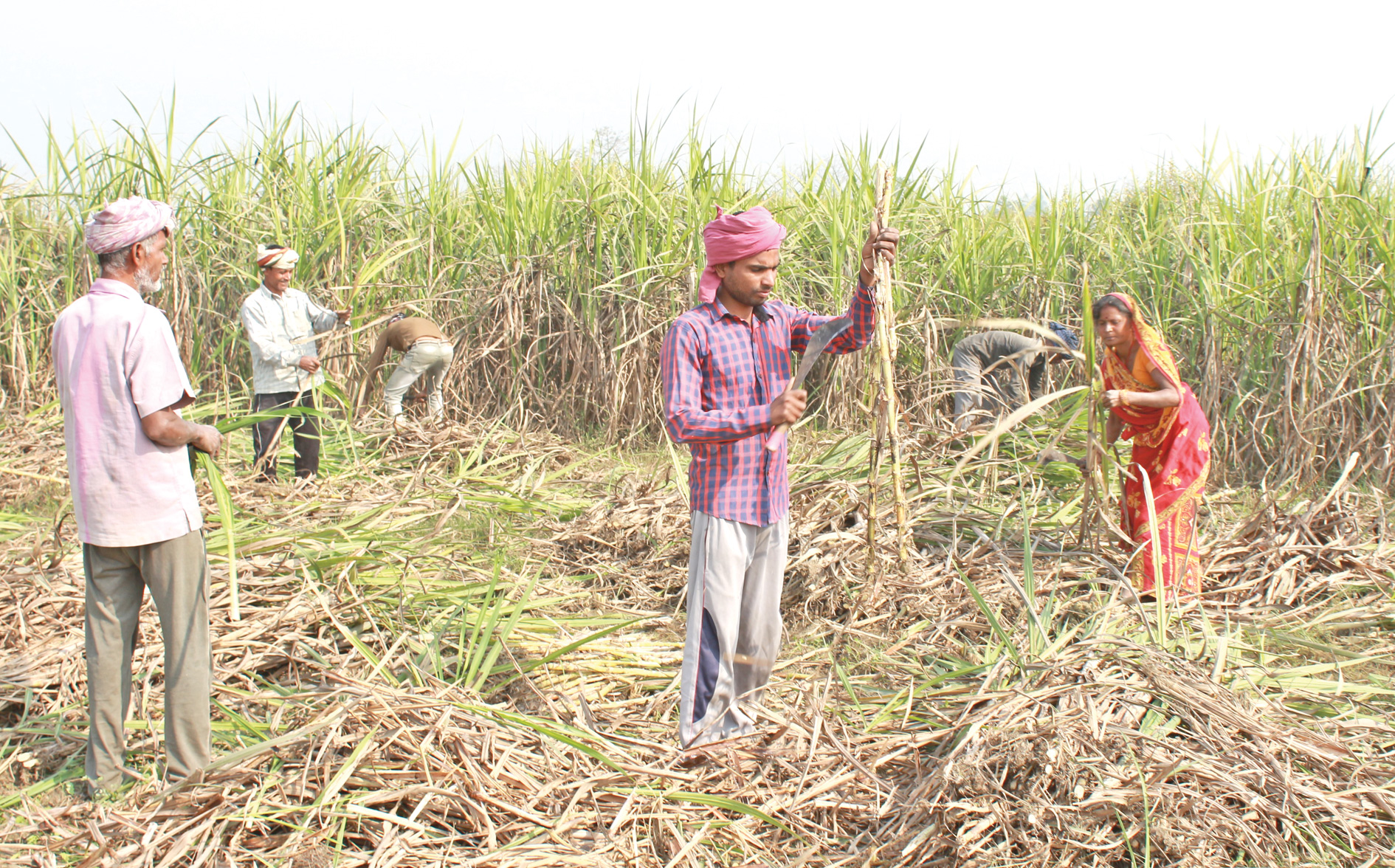 sarlahi-sugarcane-farmers-receive-subsidy