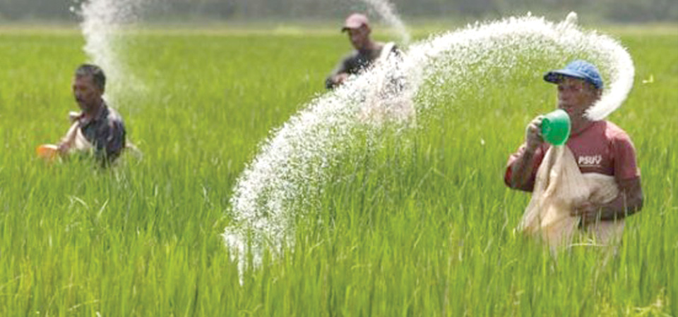 farmers-likely-to-face-fertiliser-shortage-for-winter-crops