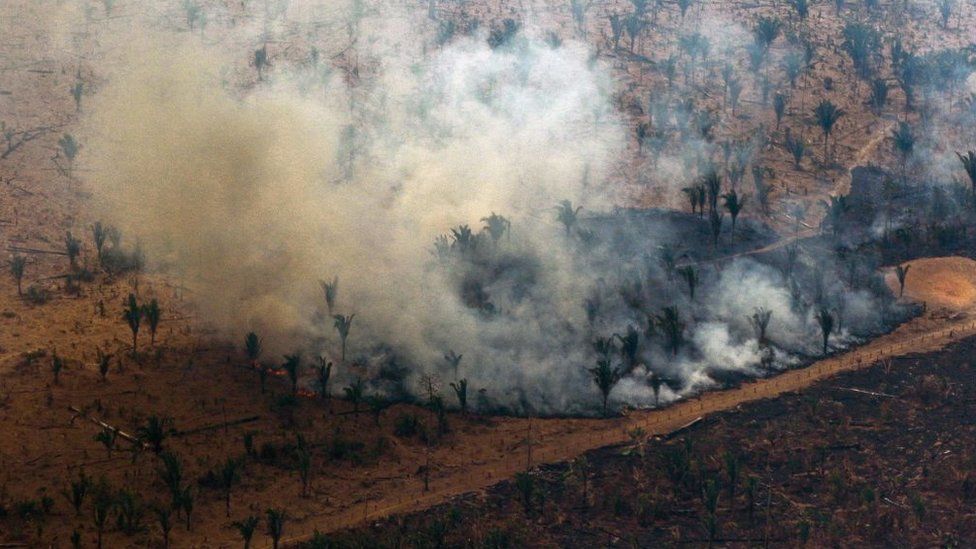 amazon-sees-worst-deforestation-in-15-years
