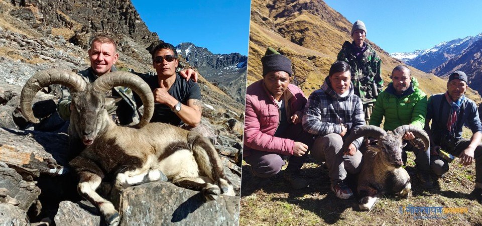 hunting-of-himalayan-tahr-and-himalayan-blue-sheep-in-dhorpatan-photo-feature
