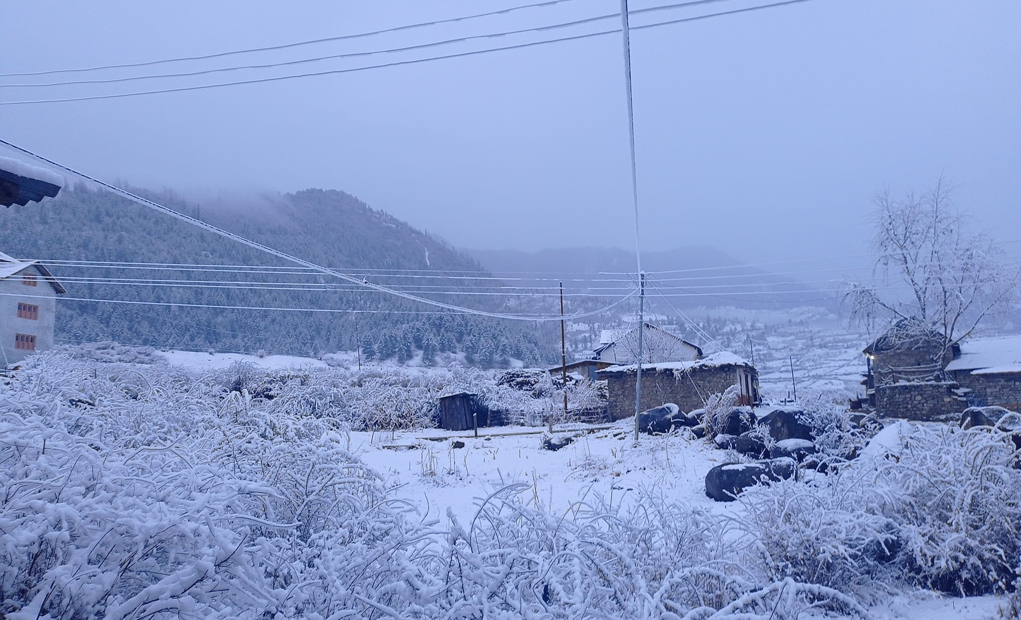 snowfall-affects-normal-life-in-himalayan-region