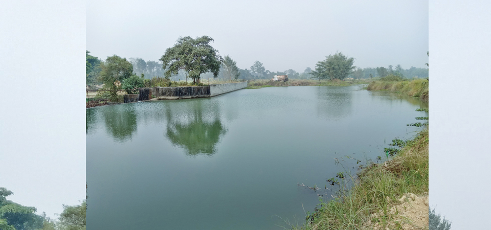 old-wetlands-lakes-of-jhapa-attracting-visitors