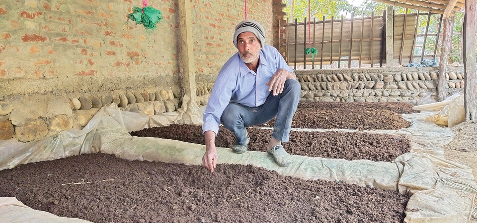 dhanusha-farmer-produces-organic-manure-using-worms