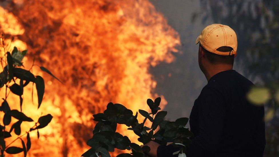 extreme-wildfires-set-to-become-more-frequent