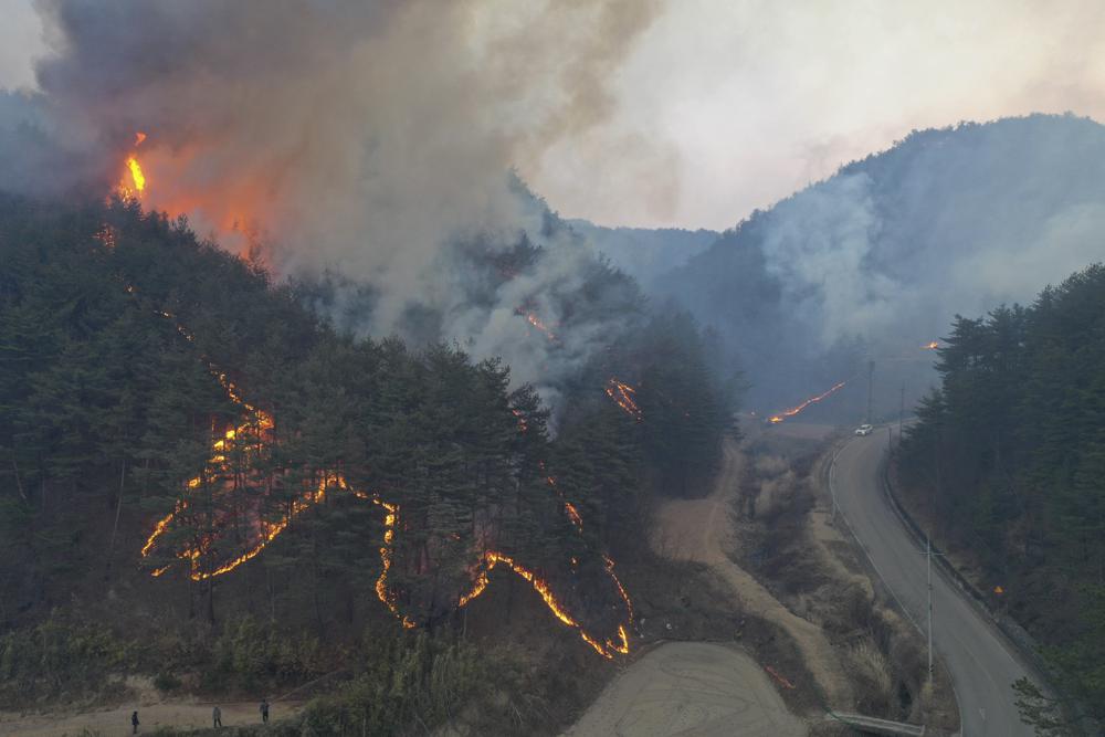 s-korean-wildfire-destroys-90-homes-forces-6000-to-flee