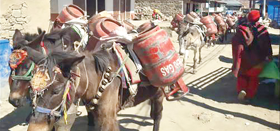 as-the-price-falls-use-of-cooking-gas-goes-up-in-humla