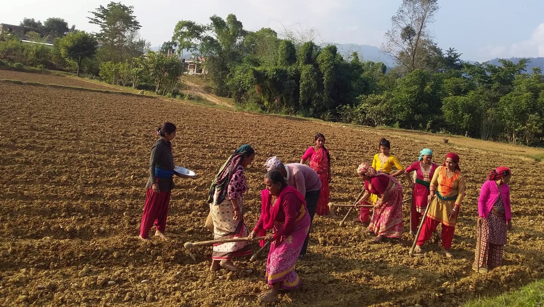 women-farmers-plotting-land-for-potato-farming