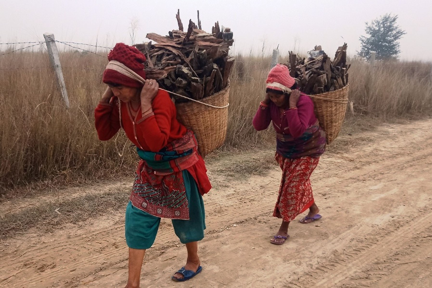 women-carrying-firewood