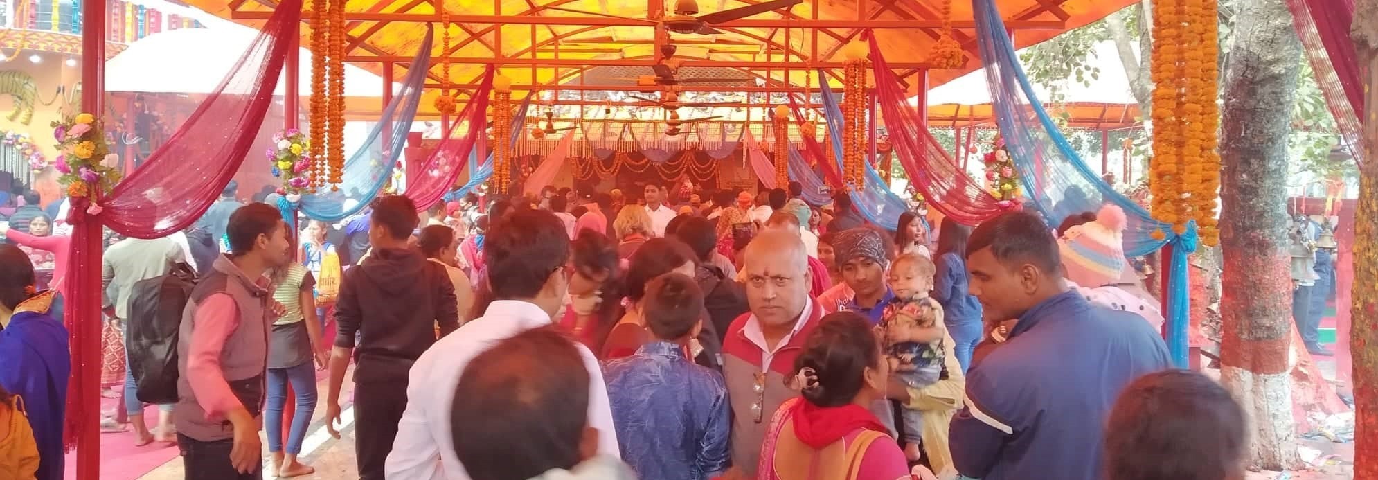 number-of-devotees-increasing-at-gadimai