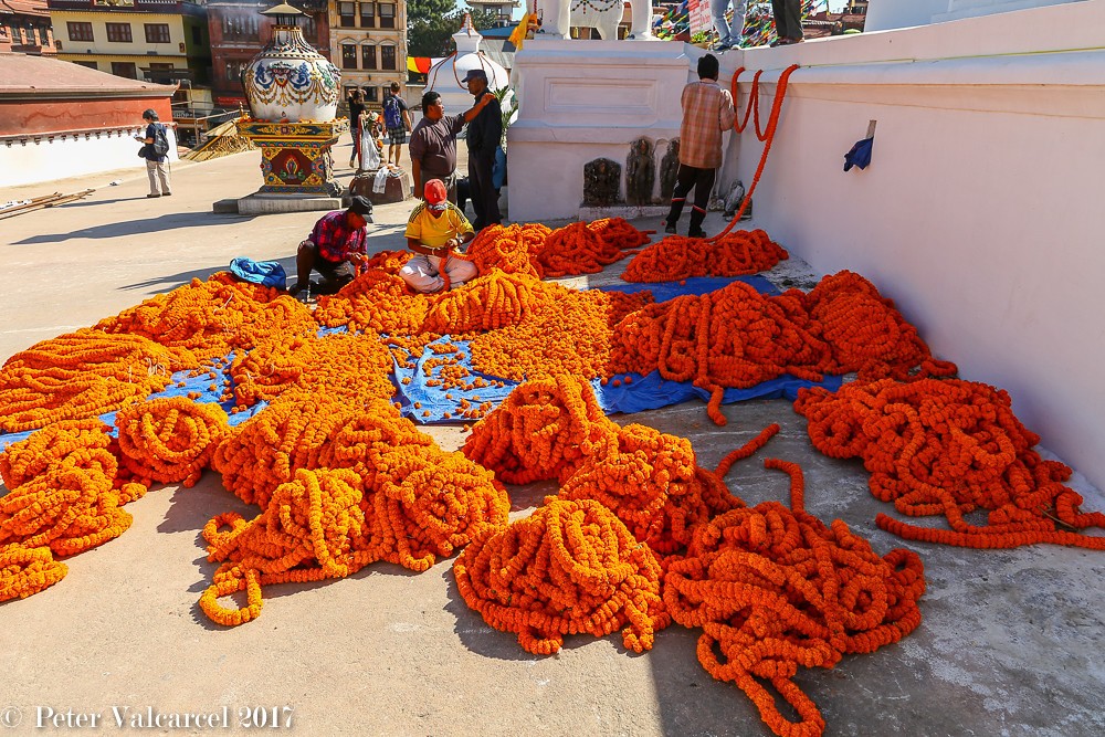 25-million-garlands-needed-for-tihar-in-capital