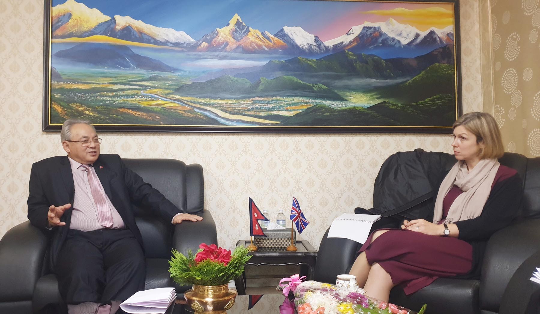 home-minister-thapa-meets-british-ambassador-pollitt