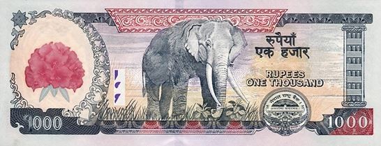 police-nabs-4-bangladeshis-dealing-in-counterfeit-bank-notes