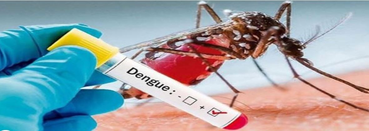 bhaktapur-at-high-risk-of-dengue