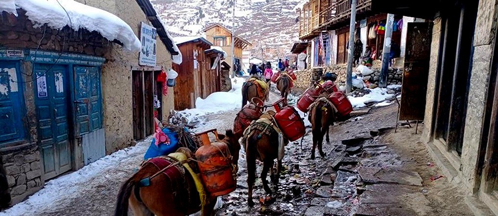price-of-cooking-gas-up-by-5-times-in-humla