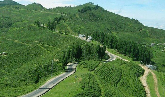 vny2020-hotels-in-illam-offer-food-accommodation-to-tourists-for-re-1
