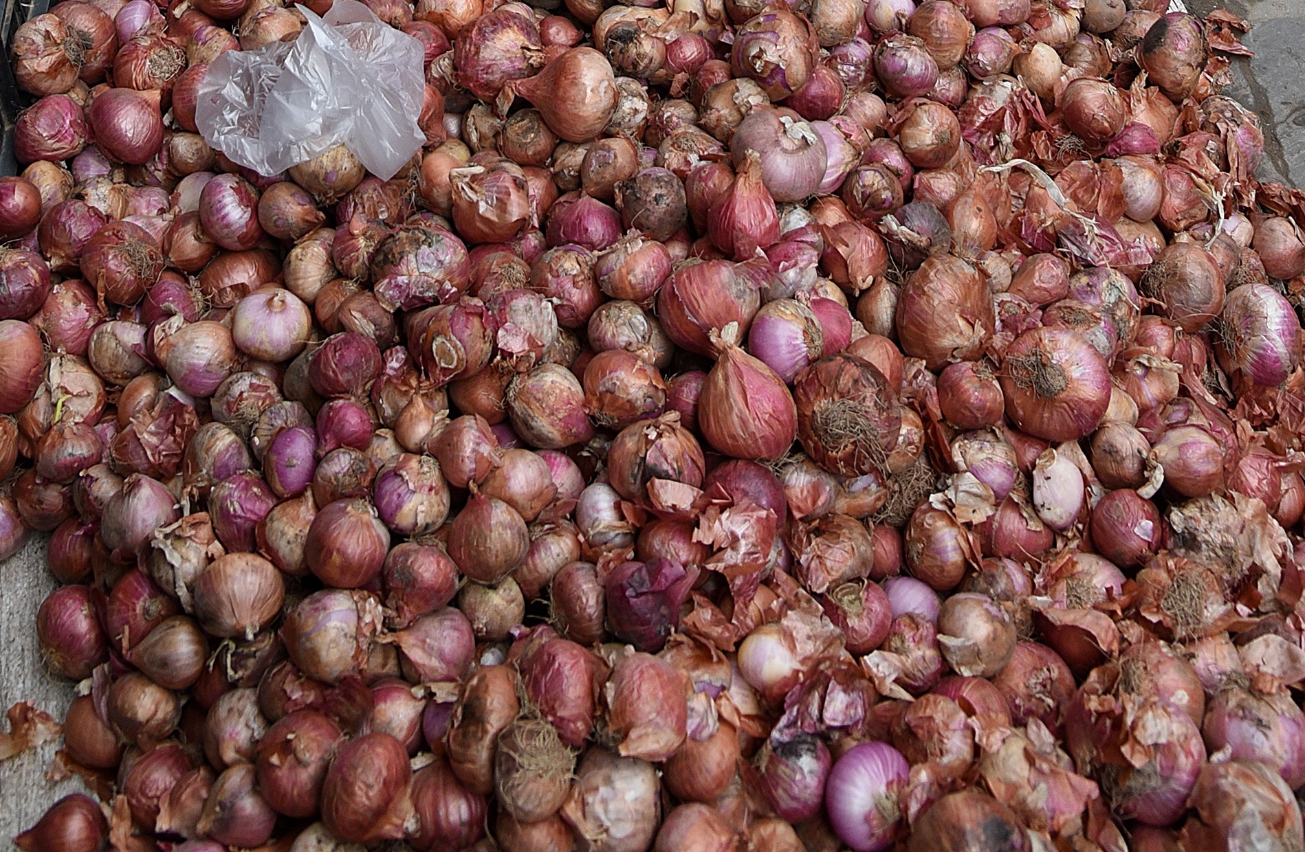 indian-onions-dominate-nepali-markets-households