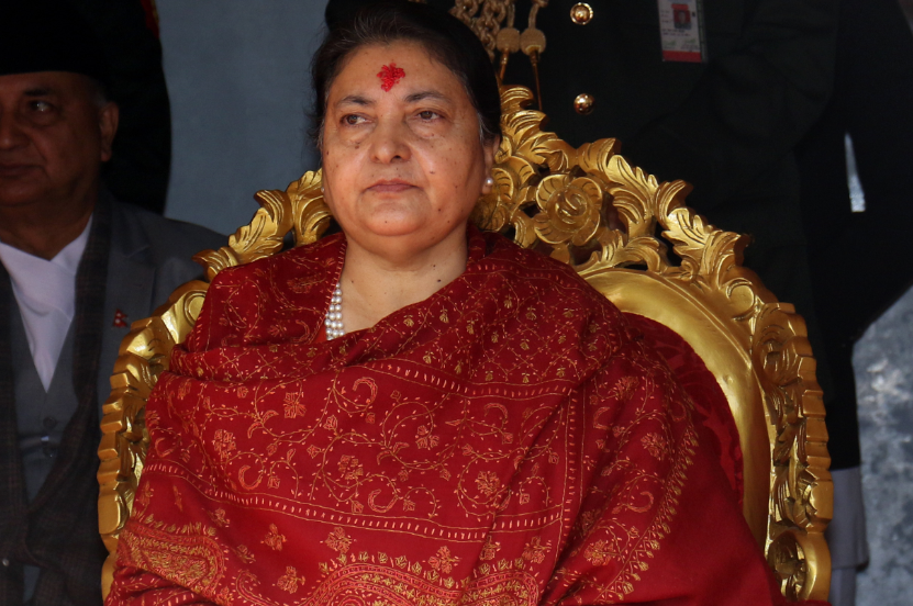 let-us-play-our-role-to-materialise-martyrs-dream-president-bhandari