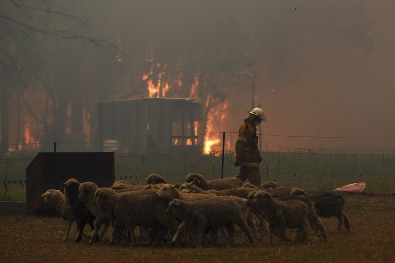 2-firefighters-die-3-hurt-as-wildfires-ravage-australia